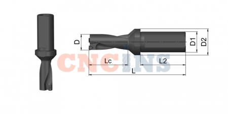 SP21-02D-C25_3